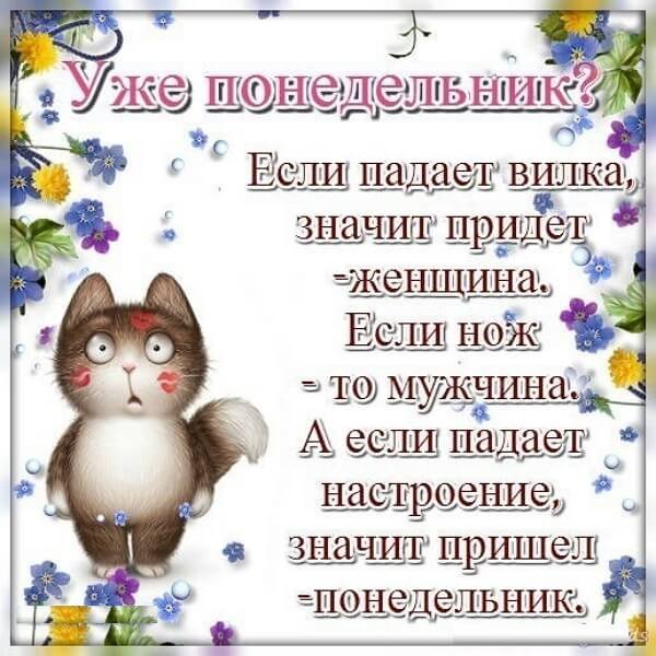 Шуточное поздравление с понедельником