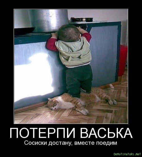 Потерпите прикол