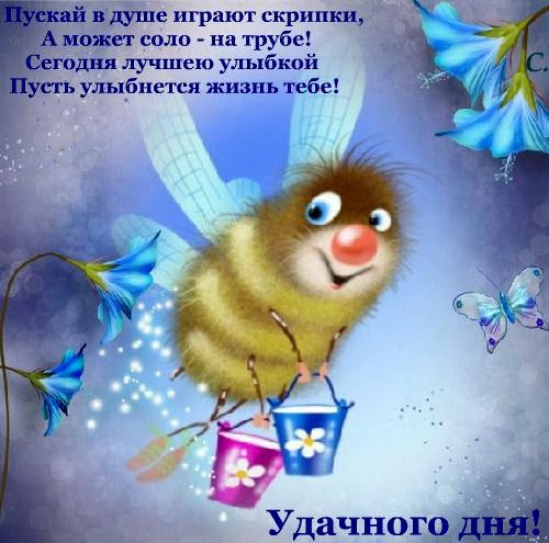 Пожелания хорошего дня прикольные