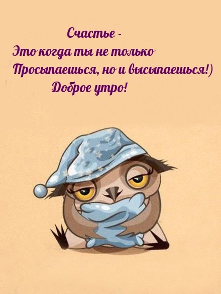 Юморные пожелания доброго утра