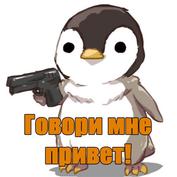 Приколы привет