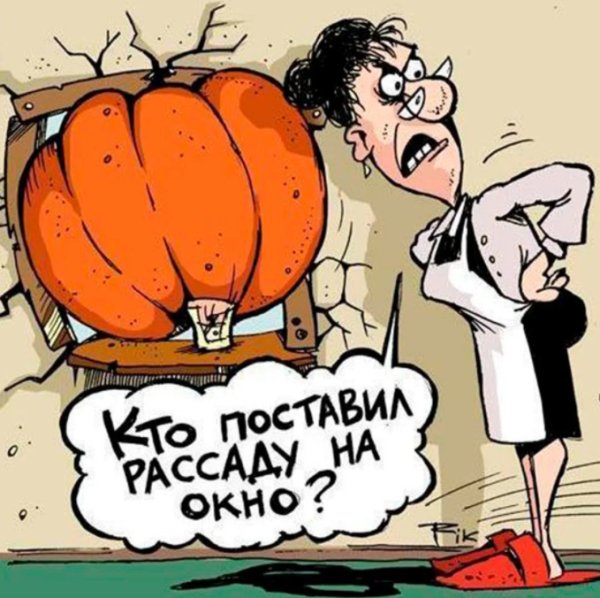 Дачник карикатура