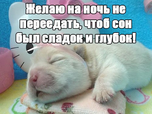 Смешные открытки спокойной ночи