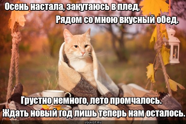 Осень настала холодно стало