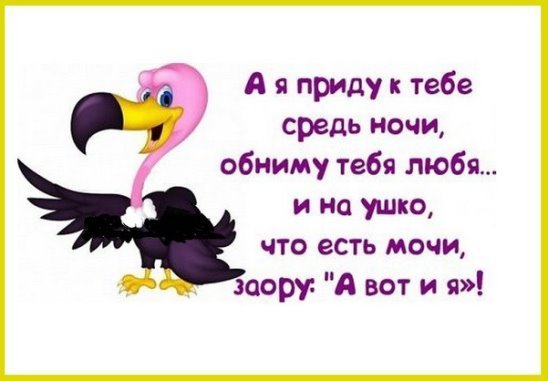 Смешные фразы про любовь