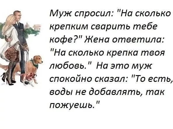 Смешные цитаты про любовь