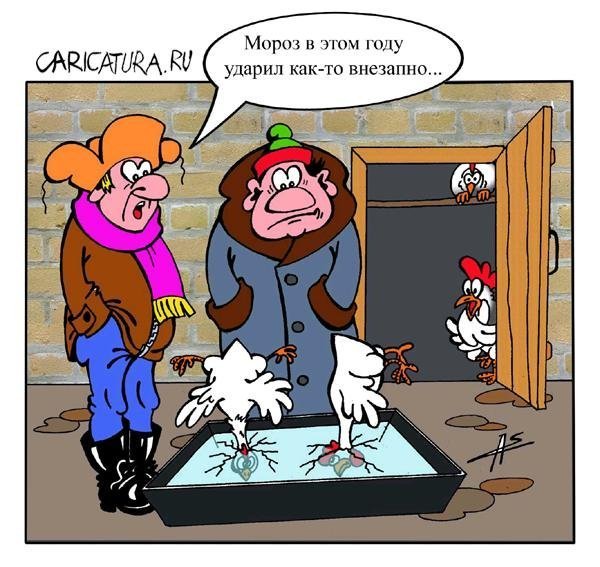 Зимний юмор в картинках