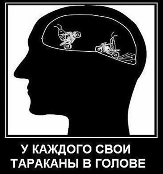 Тараканы в голове картинки прикольные