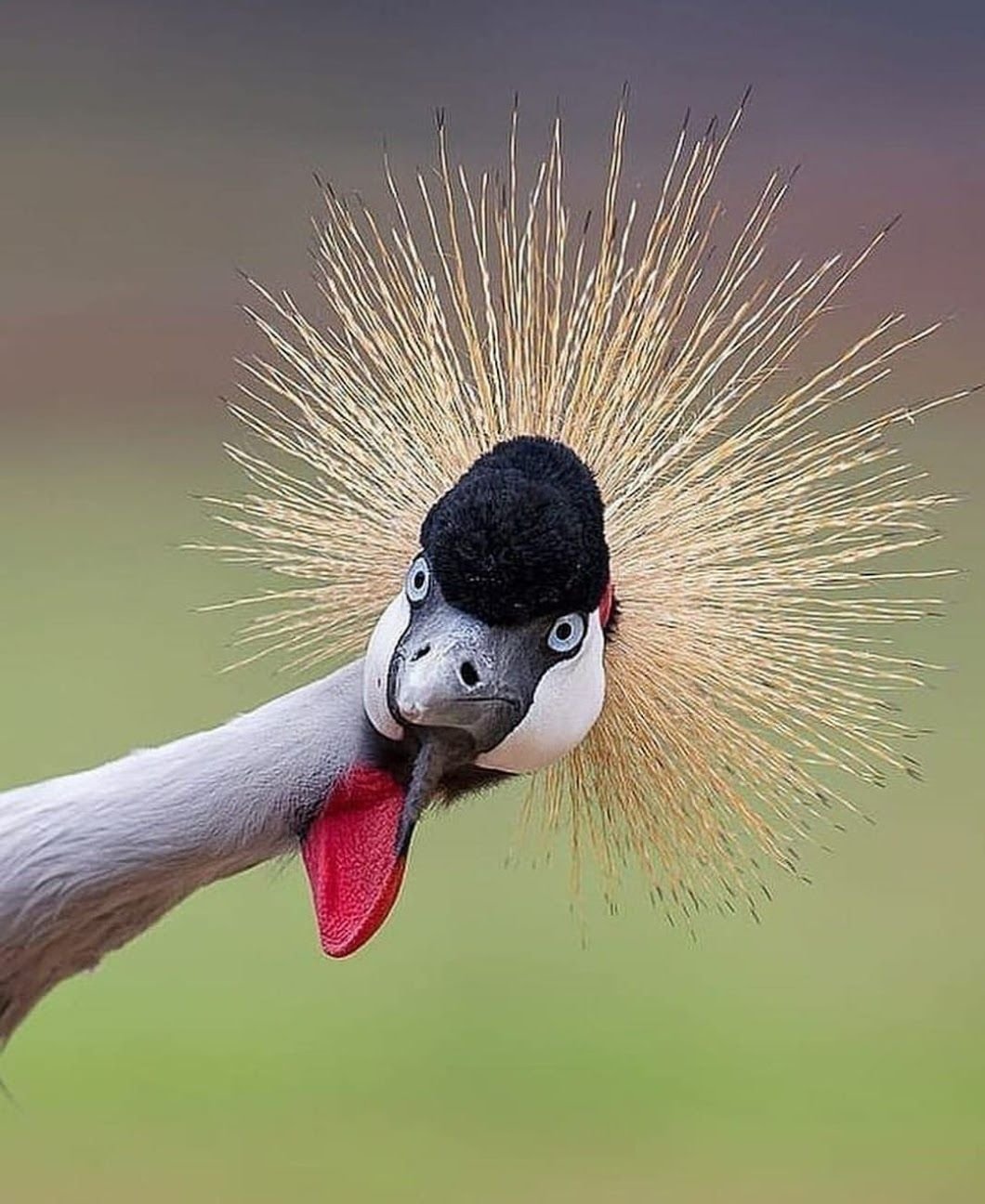 23 23