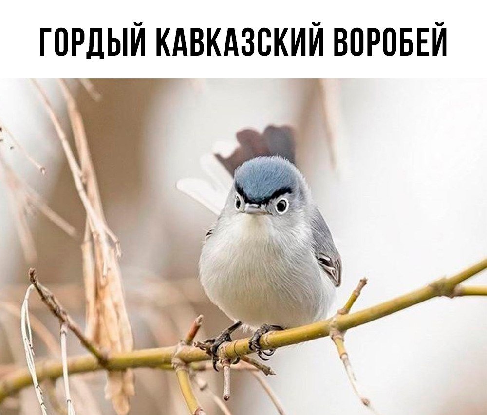 27 27