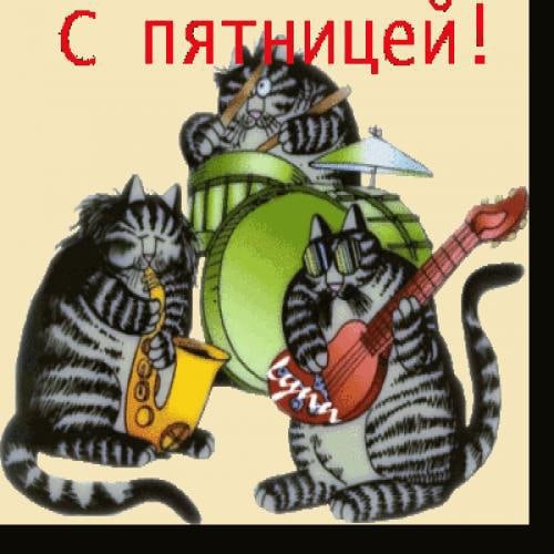 Открытки с пятницей с котами