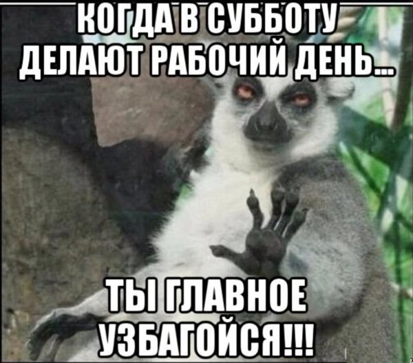 Суббота рабочий день