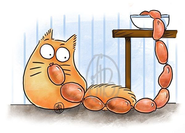 Прикольные мультяшные котики