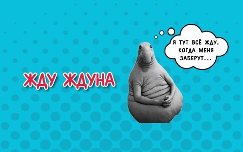 Ждун Картинки Жду