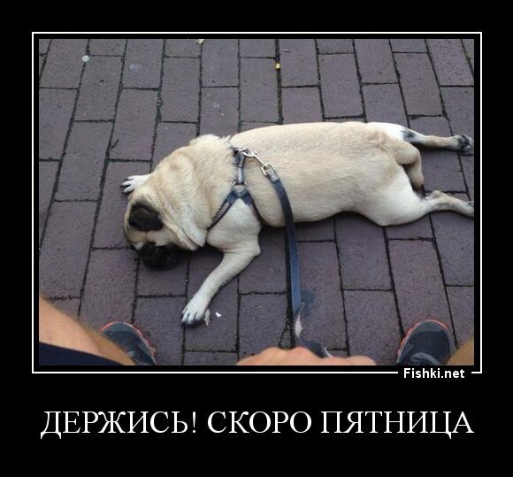 Держитесь скоро пятница