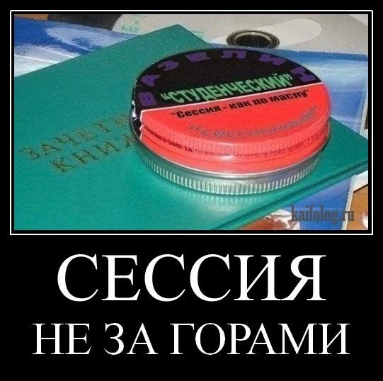 Сессия приколы