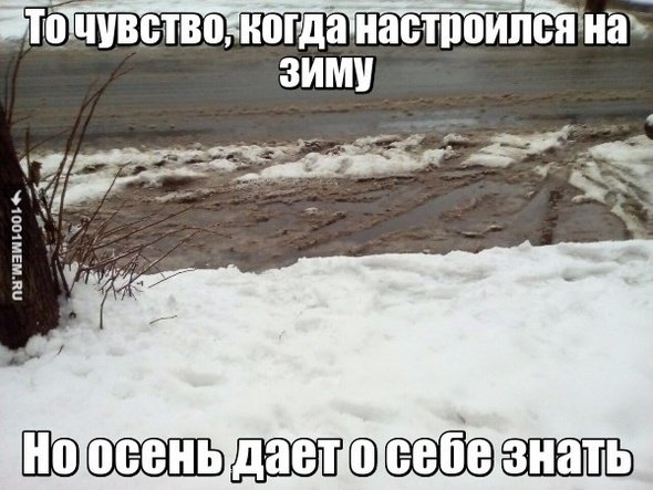 Приколы про снежную погоду