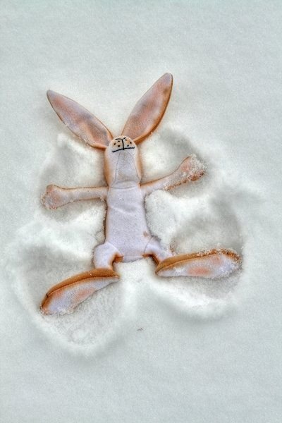 Ангелочки на снегу