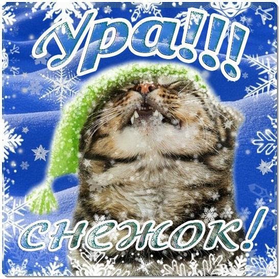 Поздравление с первым снегом