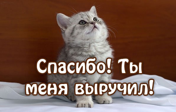 Благодарим за помощь