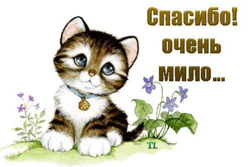 Открытка спасибо
