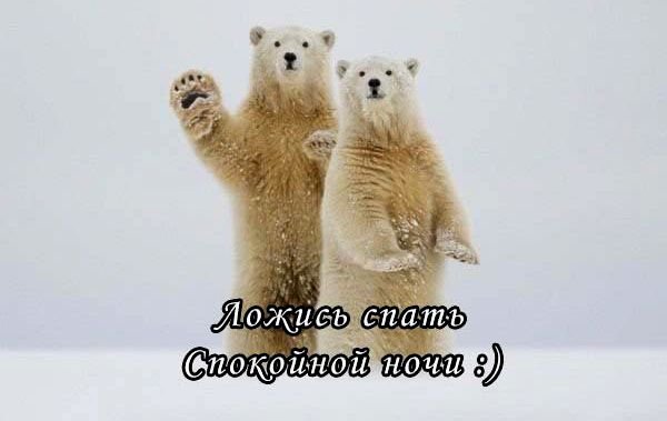 Доброй ночи пятницы