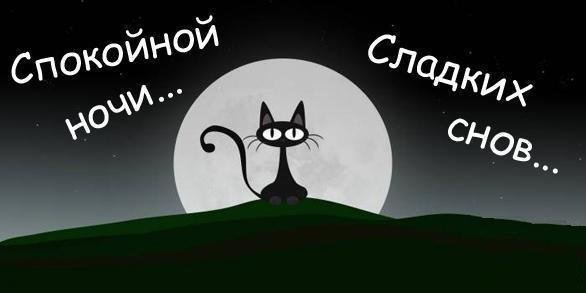 Спокойной ночи смешные рисунки