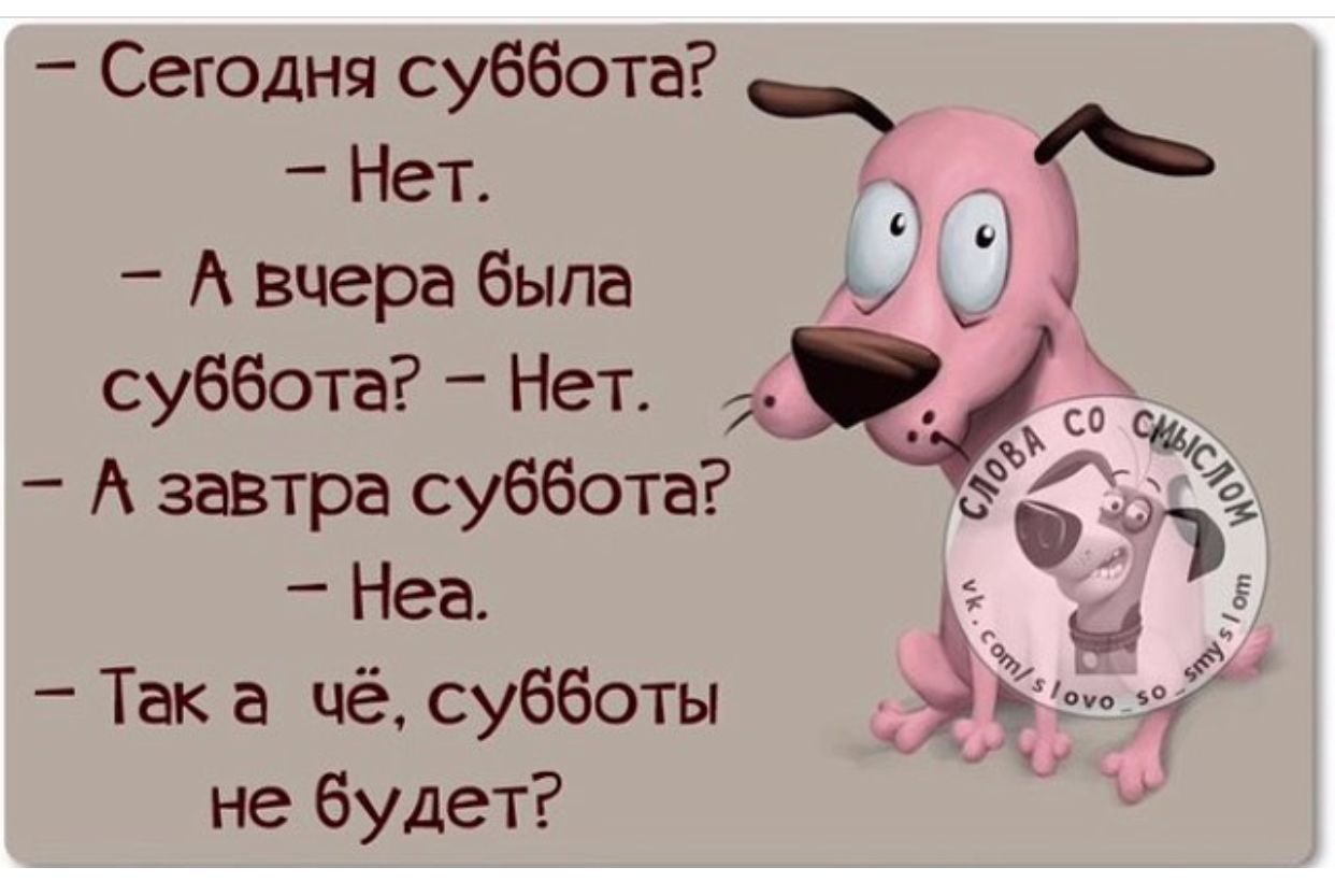 Смешные картинки Суббота для поднятия настроения 25 фото