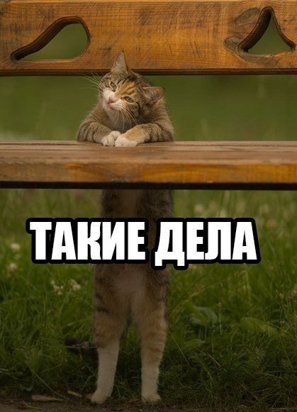 Такие дела Мем