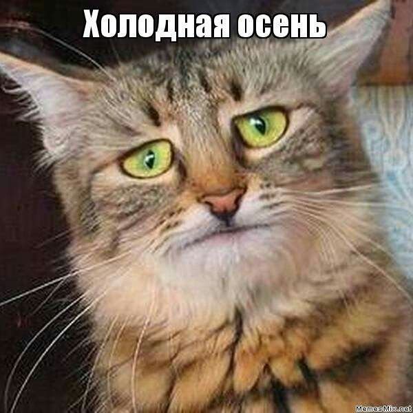 Рабочая суббота