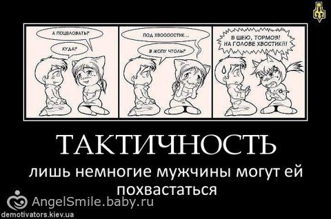 Фраза про тактичность