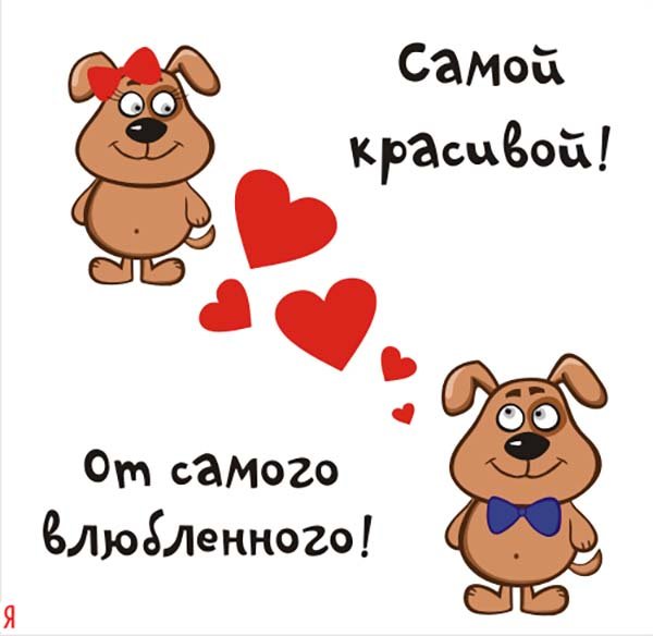 Веселое признание в любви