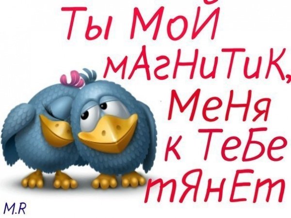 Открытки обожулька