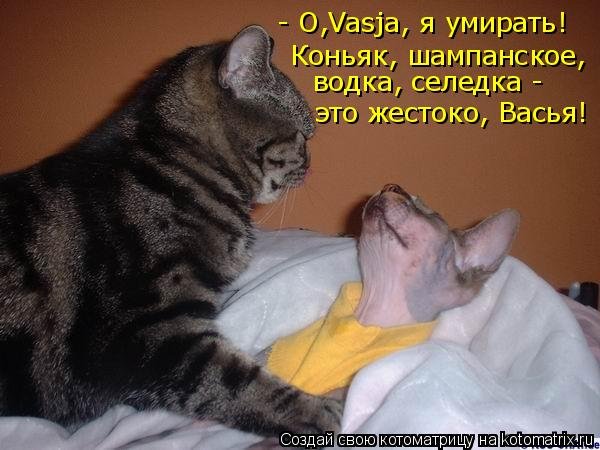 Спи моя радость усни картинки