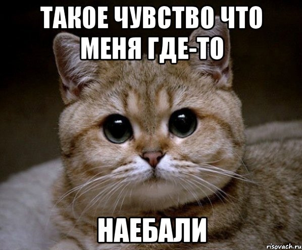 Мне кажется меня наебали