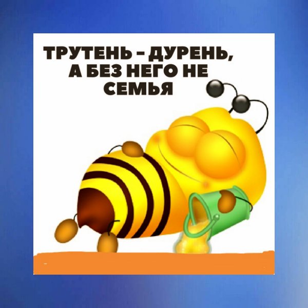 Трутень на работе