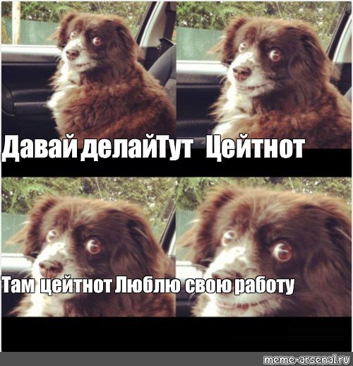 Собака давай сделай это