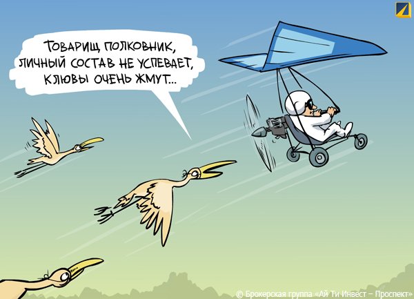 Птицы улетают юмор