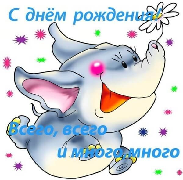 С днем рождения Слоник