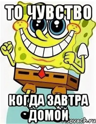 Ура домой