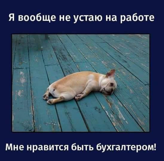 Когда устал на работе приколы