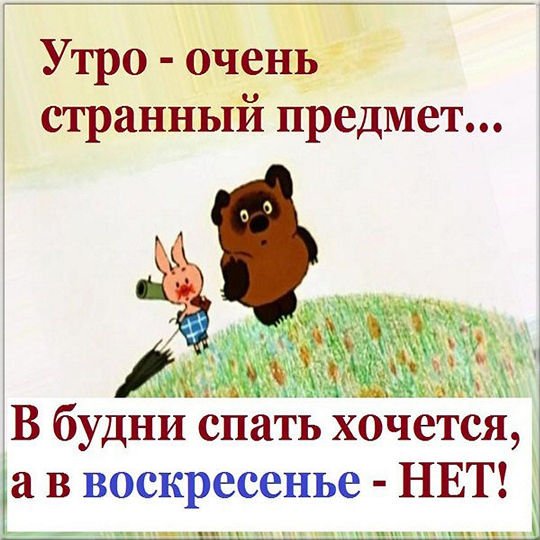 Хорошего воскресенья прикольные