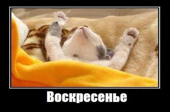 Воскресенье приколы