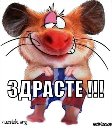 Здрасьте картинки смешные