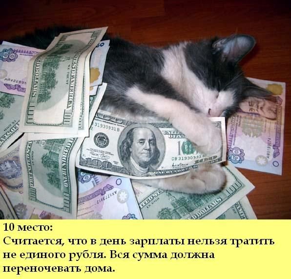 Денежный кот