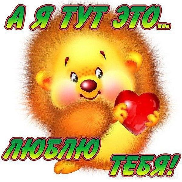 Я тебя люблю