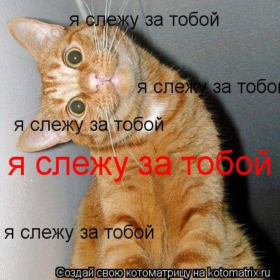 Я Слежу за тобой