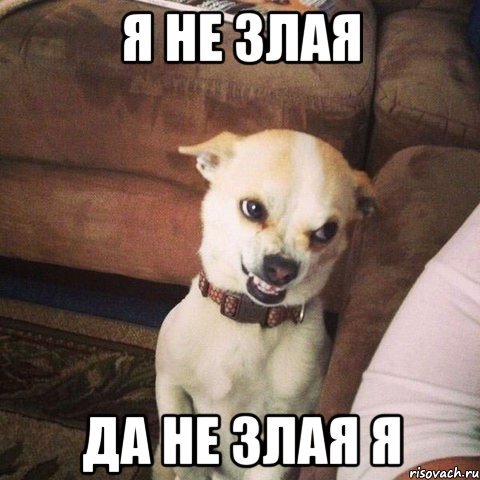 Я не злой Мем