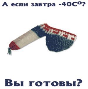 Чехол для члена
