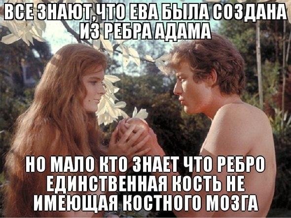 Ева юмор